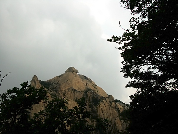 The peak from the forest