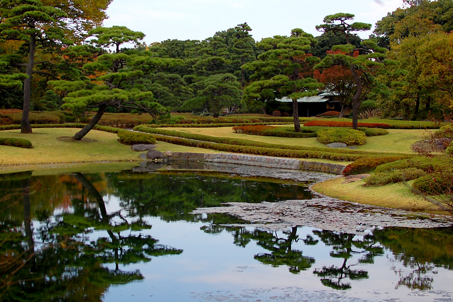 A true Japanese Garden