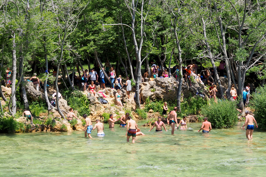 Swimmers and spectators