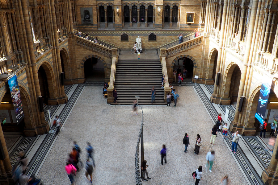 The epic main hall of the Natural History Museum